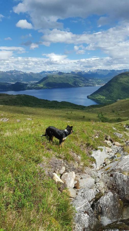 Вилла Tiny House With Fjordview! Lauvstad Экстерьер фото